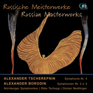 Symphonie No. 2 für Orchester in B Minor: I. Allegro - Animato assai - Poco meno mosso - Animato assai - Tempo 1