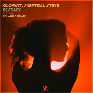 Ecstacy (EDLands Remix)