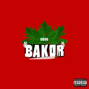 Bakor (feat. Caoiss, Kymy & JEKNORTH) (Explicit)