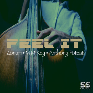 Feel It (Inst.)
