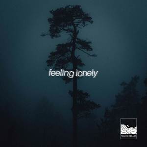 feeling lonely (Explicit)