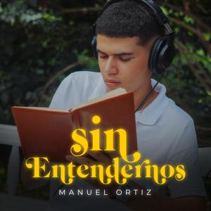 SIN ENTENDERNOS