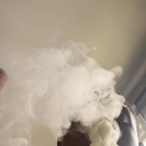 Lotta **** (Journal Entry 2) (Explicit)