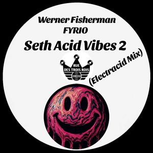 Seth Acid Vibes 2 (Electracid Mix)