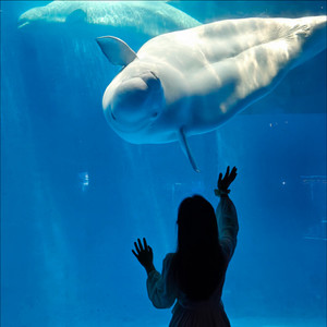 等你的季节-骑上我心爱的小木马