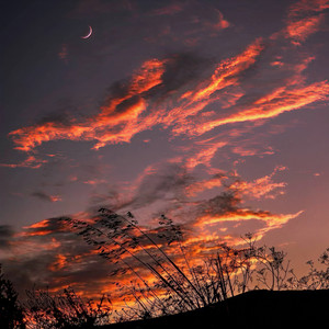 Why Would I Ever (改编版)