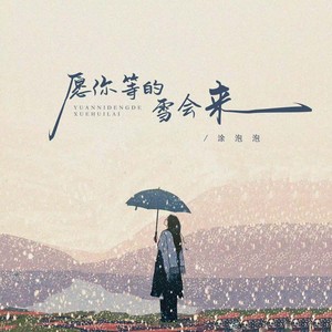 愿你等的雪会来