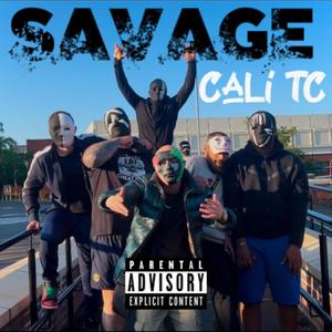 SAVAGE (Explicit)