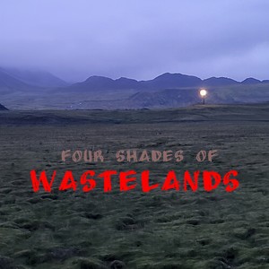 Wastelands (Midnight)
