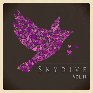 Skydive, Vol. 11