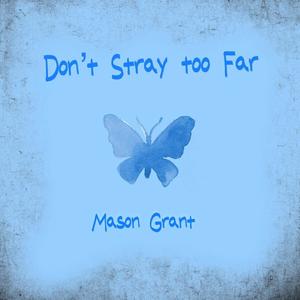 Don't Stray Too Far (Radio Edit)