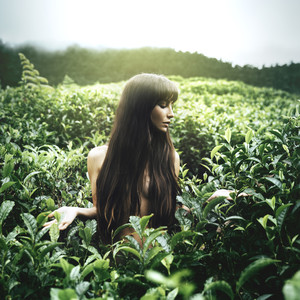 Wacho (Dorrego Original Mix)