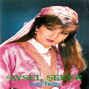 Dost Bağının Meyveleri