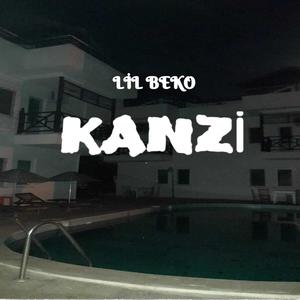 Kanzi (Explicit)