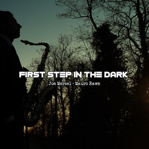 First Step in the Dark