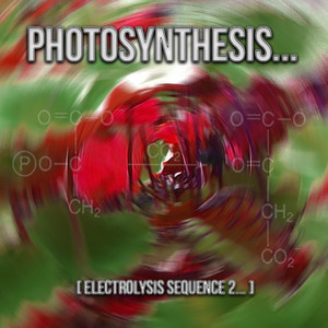 Photosynthesis( Electrolysis Sequence 2 )