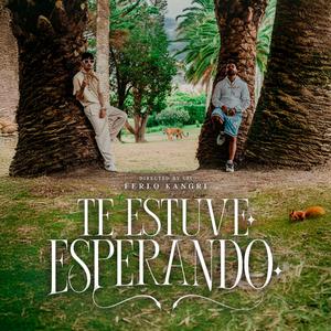 TE ESTUVE ESPERANDO