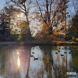 SITTING DUCKS (Explicit)