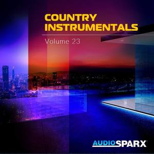 Country Instrumentals Volume 23
