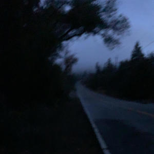 JESSE PINKMAN (Explicit)