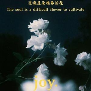 灵魂是朵难养的花
