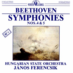 Symphony No. 4 in B-Flat Major, Op. 60 - Symphony No. 4 in B-Flat Major, Op. 60: I. Adagio - Allegro vivace