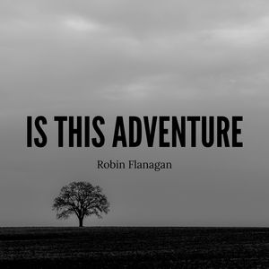 Robin Flanagan - Priced Entertained