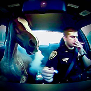 so stupid (Explicit)