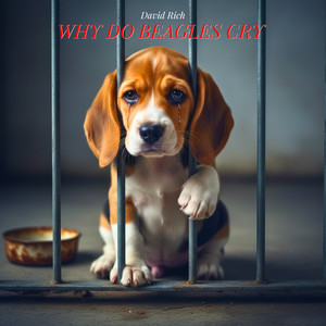 Why Do Beagles Cry
