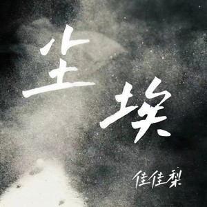 尘埃封面