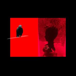 If You Love Me (feat. Lori Goldston & Eric Padget)