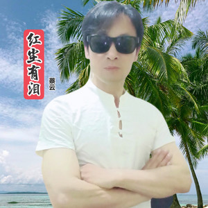 红尘有泪封面