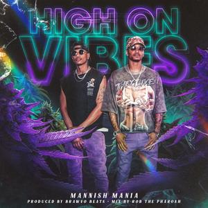 High On Vibes