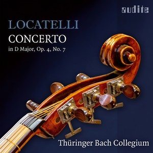 Concerto in D Major, Op. 4, No. 7 - I. Allegro