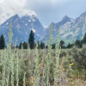 Eyes on me (Explicit)