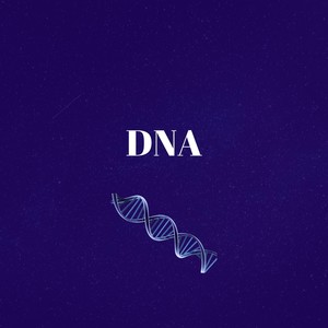 DNA (Explicit)