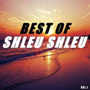 Best of shleu shleu (Vol.1)