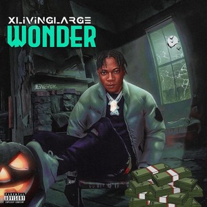 Wonder (Explicit)