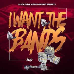 I WANT THE BANDS (feat. Sedia B) (Explicit)