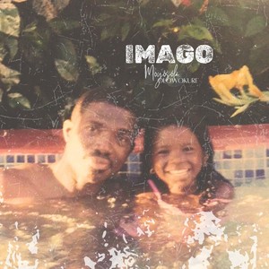 Imago