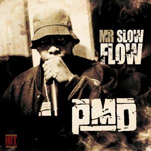 Mr. Slow Flow (Explicit)