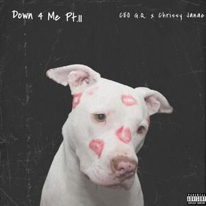 Down 4 Me Pt.II (feat. Chrissy Janae) [Explicit]