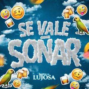 Se Vale Soñar (En vivo)