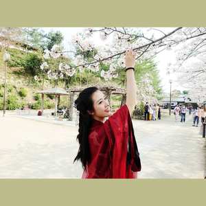 无情画 (COVER版)