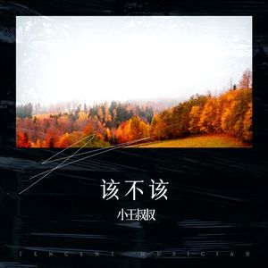 该不该