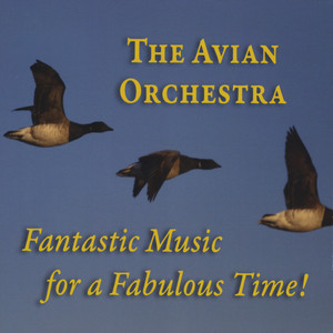 The Avian Orchestra: Fantastic Music for a Fabulous Time