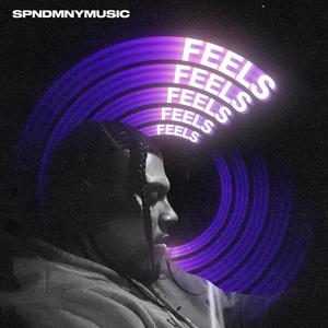 FEELS (Explicit)