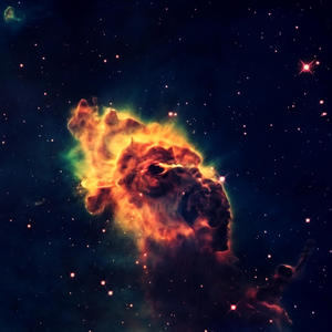 Not even Chris Brown