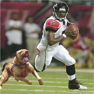 Mike Vick (Explicit)