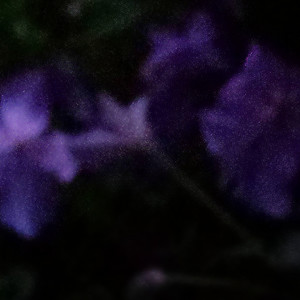 my cute anime girlfriend